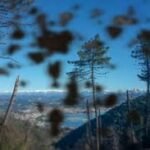 Vitreous floaters